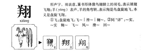 翔 五行|翔字五行属什么